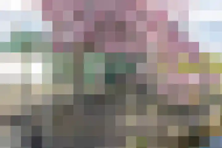 Noordersingel 37 Berkel en Rodenrijs thumbnail 60