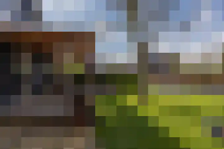 Noordersingel 37 Berkel en Rodenrijs thumbnail 61