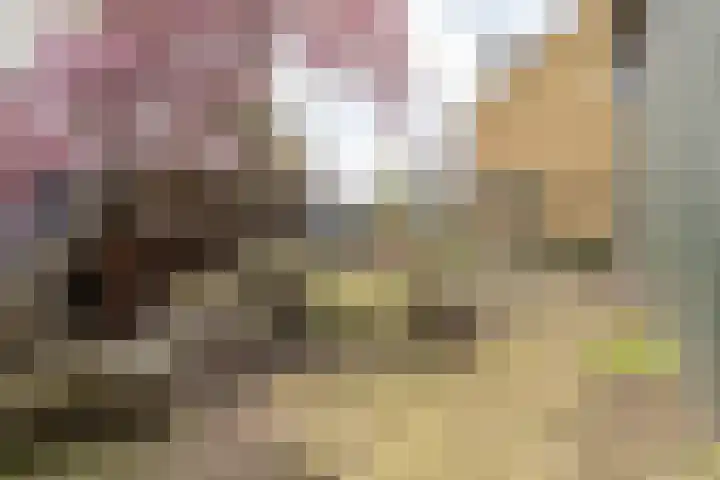 Noordersingel 37 Berkel en Rodenrijs thumbnail 62