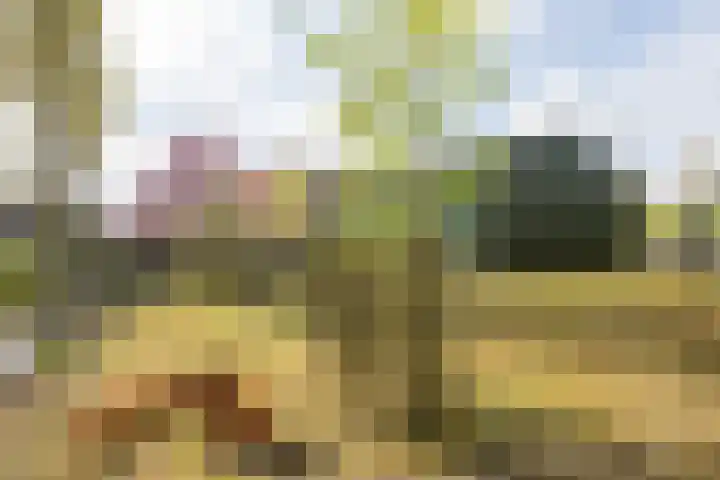 Noordersingel 37 Berkel en Rodenrijs thumbnail 63