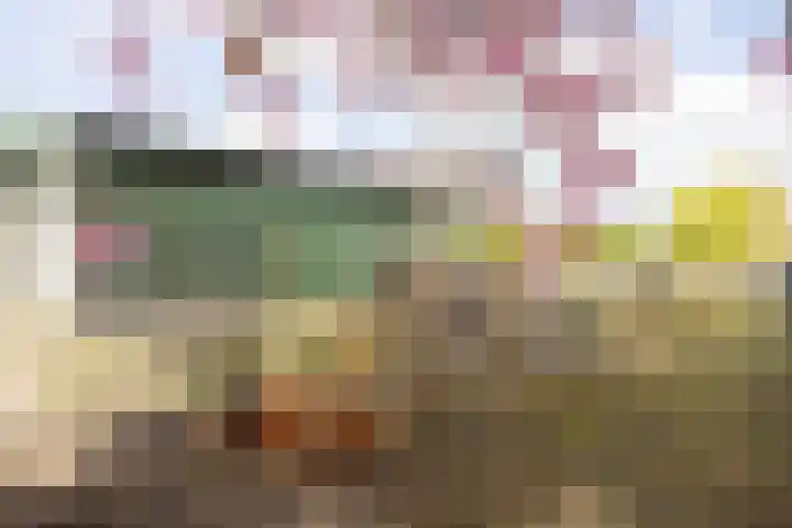 Noordersingel 37 Berkel en Rodenrijs thumbnail 64