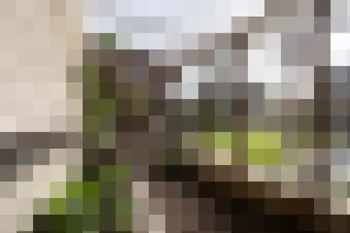 Noordersingel 37 Berkel en Rodenrijs thumbnail 65