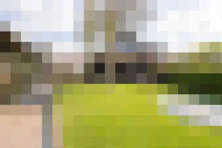 Noordersingel 37 Berkel en Rodenrijs thumbnail 67