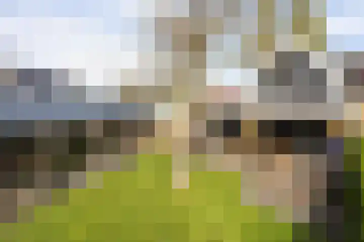 Noordersingel 37 Berkel en Rodenrijs thumbnail 68