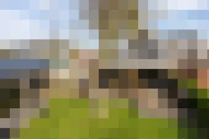 Noordersingel 37 Berkel en Rodenrijs thumbnail 69