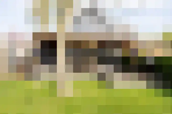Noordersingel 37 Berkel en Rodenrijs thumbnail 70