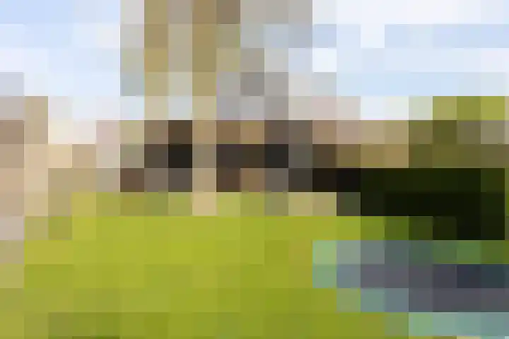 Noordersingel 37 Berkel en Rodenrijs thumbnail 72