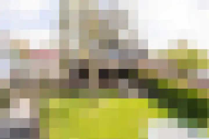 Noordersingel 37 Berkel en Rodenrijs thumbnail 73