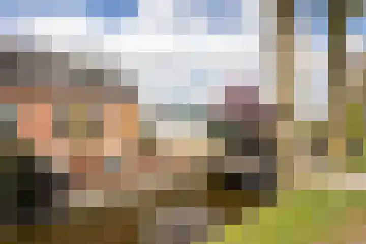 Noordersingel 37 Berkel en Rodenrijs thumbnail 8