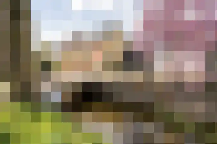 Noordersingel 37 Berkel en Rodenrijs thumbnail 9