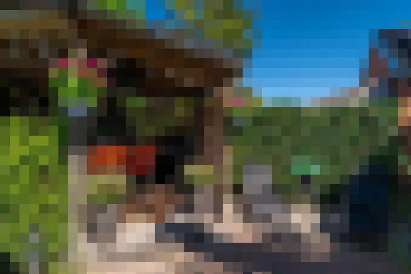 Noordersingel 39 Hoogezand thumbnail 48