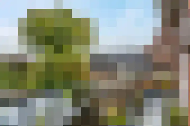 Noordersingel 4 a Appingedam thumbnail 6