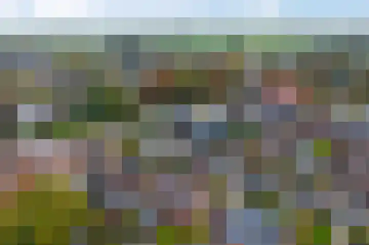 Noordersingel 4 a Appingedam thumbnail 7