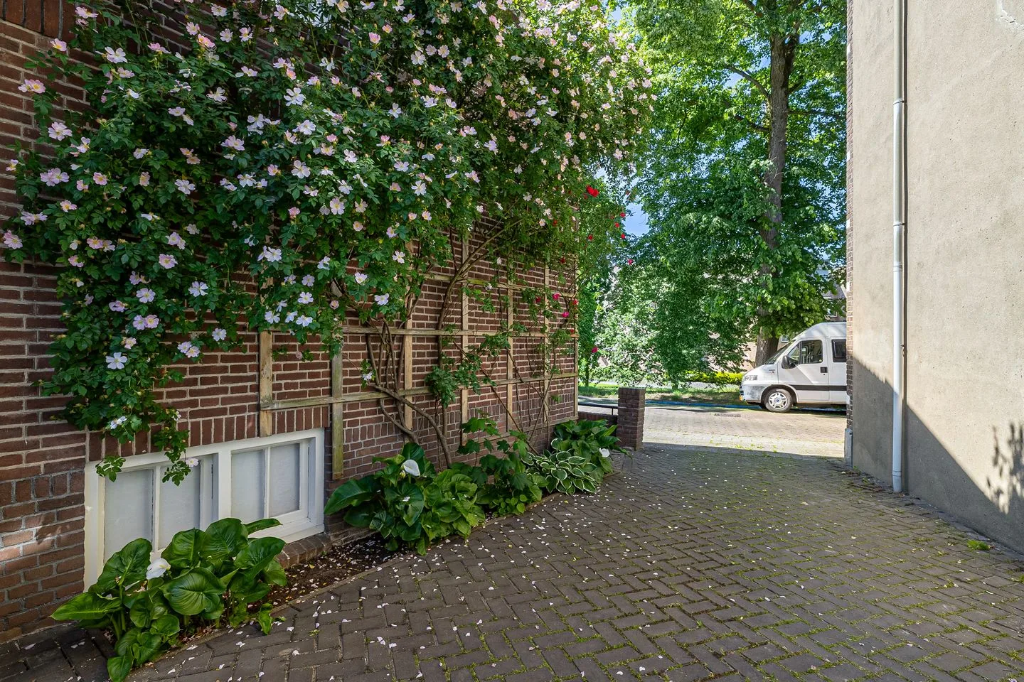 Noordersingel 5 Steenwijk thumbnail 57