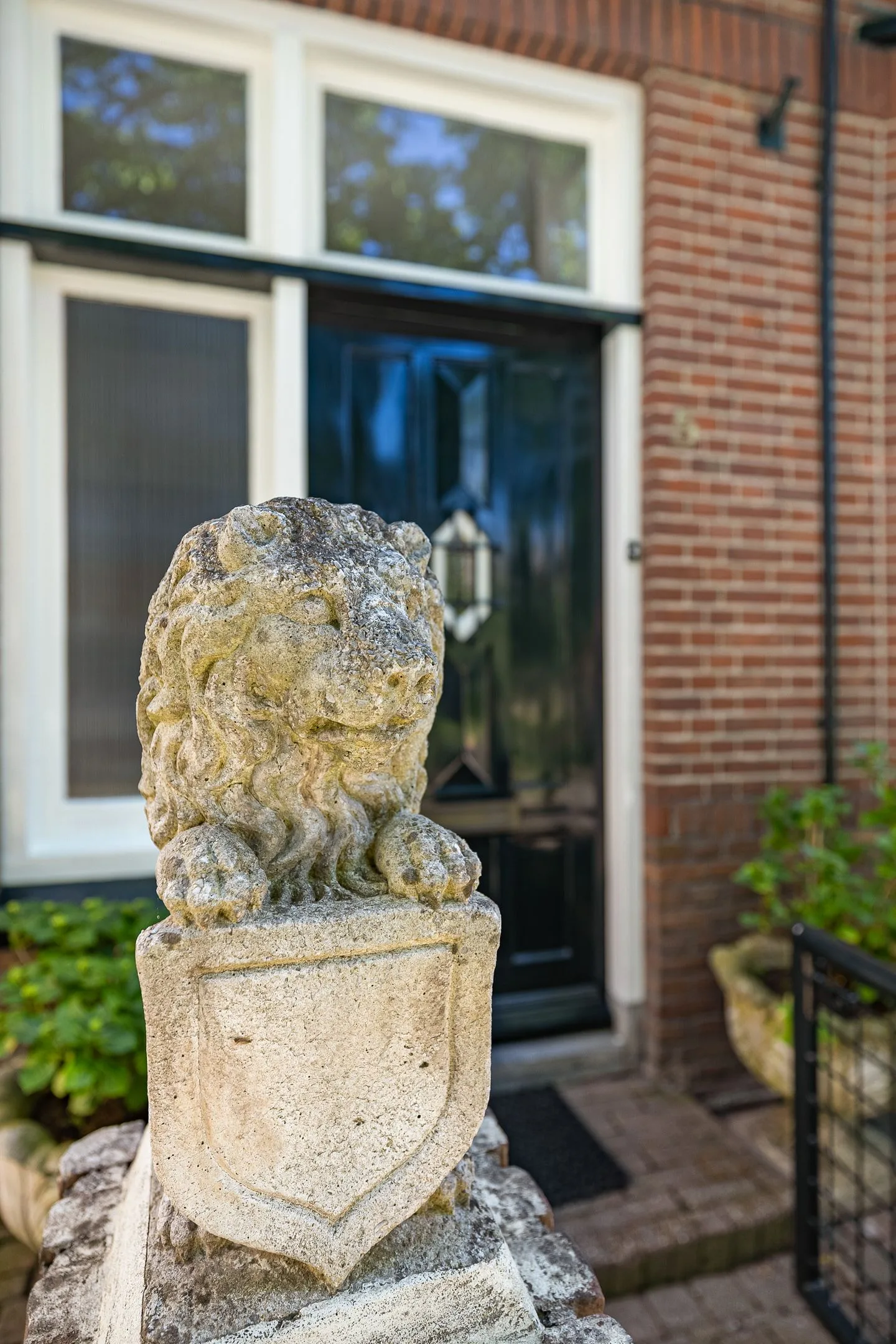 Noordersingel 5 Steenwijk thumbnail 7