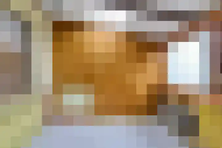 Noordersingel 50 Berkel en Rodenrijs thumbnail 15