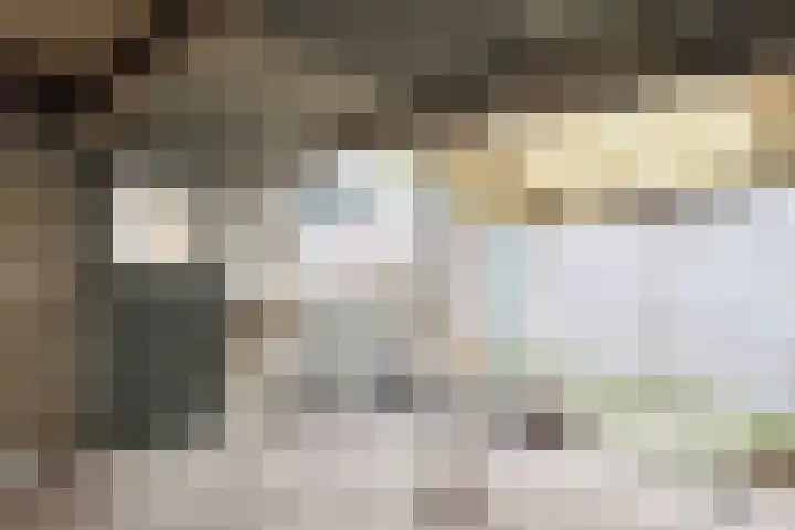 Noordersingel 50 Berkel en Rodenrijs thumbnail 23