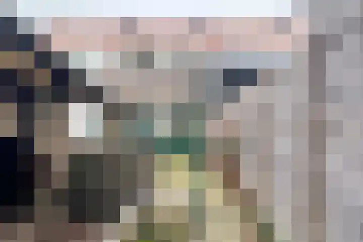 Noordersingel 50 Berkel en Rodenrijs thumbnail 28