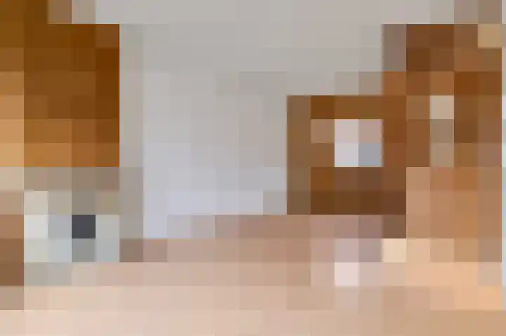 Noordersingel 50 Berkel en Rodenrijs thumbnail 5