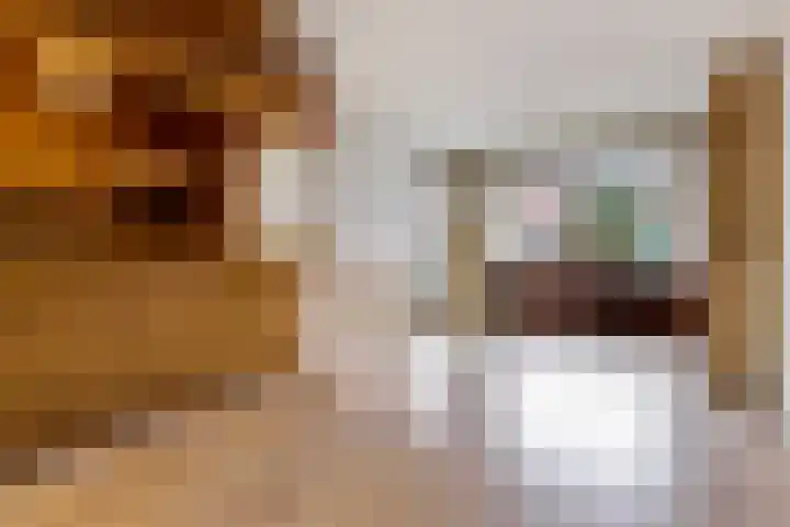 Noordersingel 50 Berkel en Rodenrijs thumbnail 6