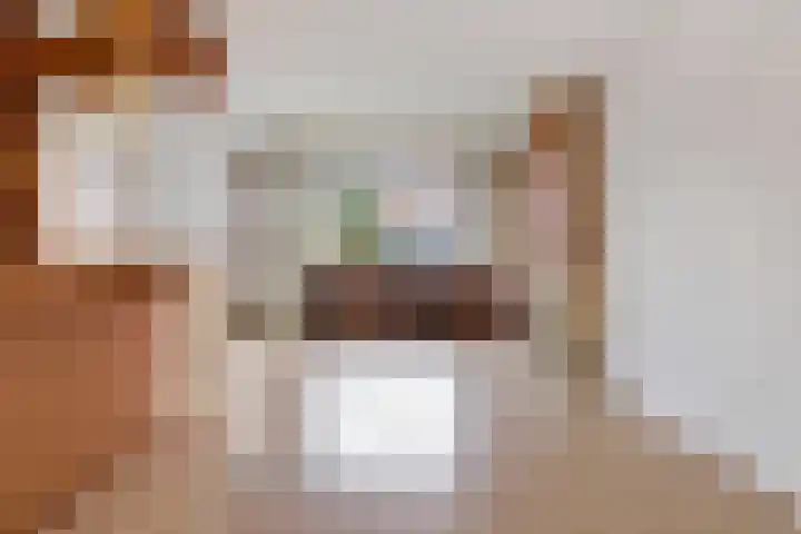 Noordersingel 50 Berkel en Rodenrijs thumbnail 7