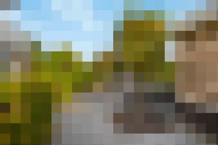 Noordersingel 60 Barendrecht thumbnail 31