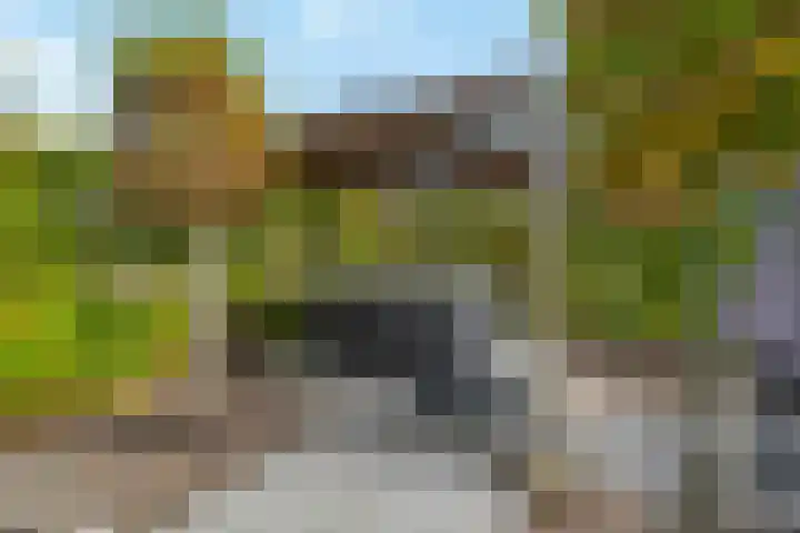 Noordersingel 60 Barendrecht thumbnail 33