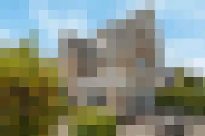 Noordersingel 60 Barendrecht thumbnail 35