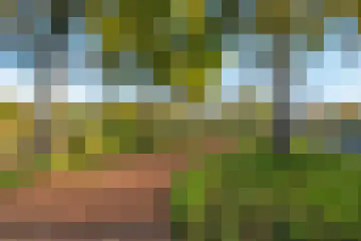 Noordersingel 60 Barendrecht thumbnail 44