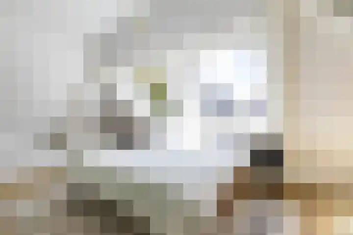 Noordersingel 7 Hoogezand thumbnail 34
