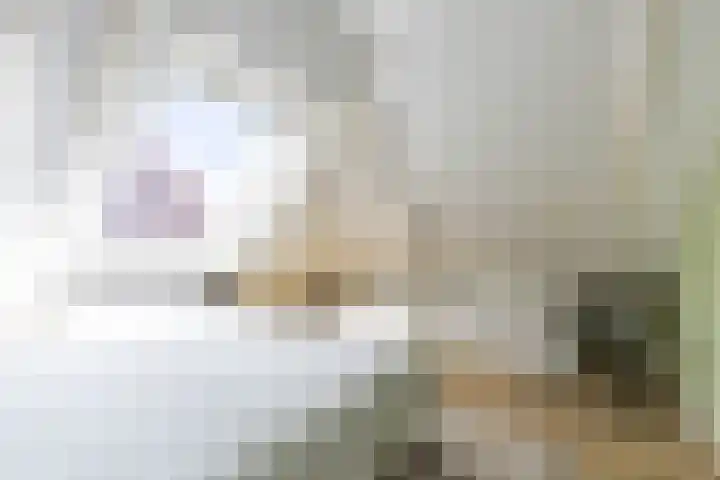 Noordersingel 7 Hoogezand thumbnail 35
