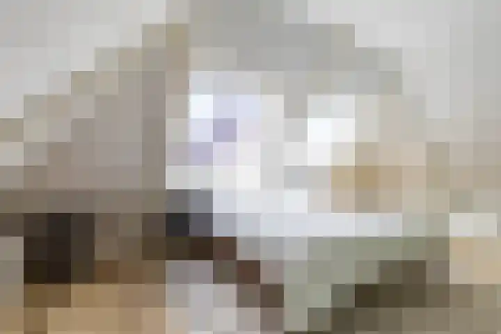Noordersingel 7 Hoogezand thumbnail 36