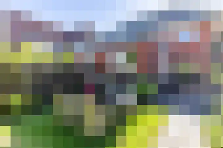 Noordersingel 7 Hoogezand thumbnail 41