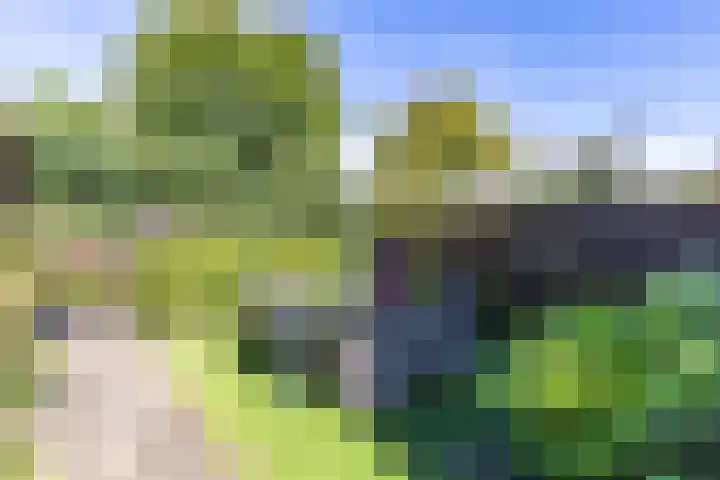 Noordersingel 7 Hoogezand thumbnail 42