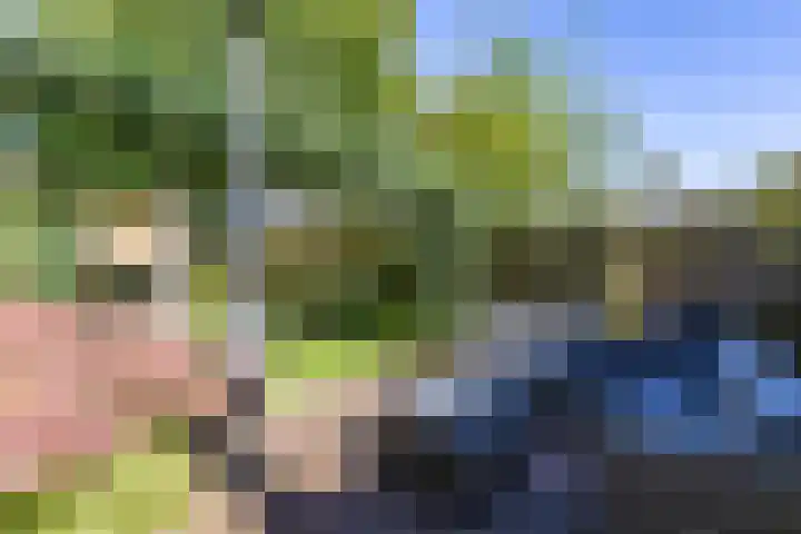 Noordersingel 7 Hoogezand thumbnail 43