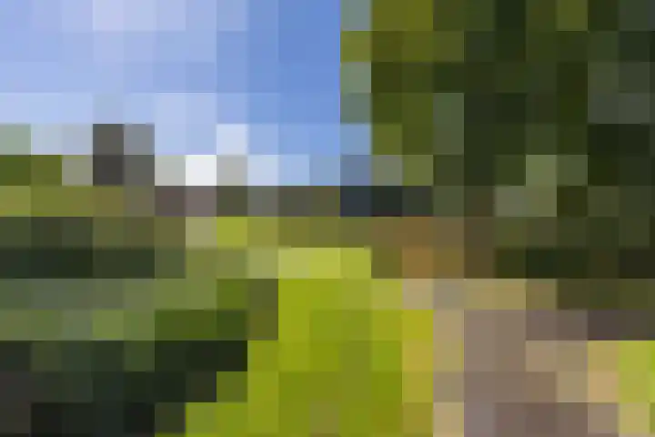 Noordersingel 7 Hoogezand thumbnail 50