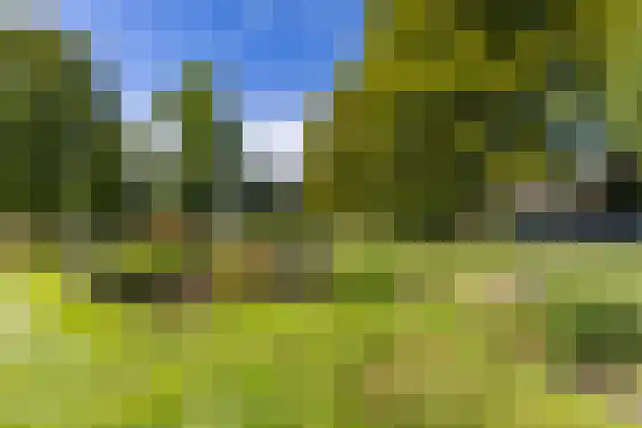 Noordersingel 7 Hoogezand thumbnail 51