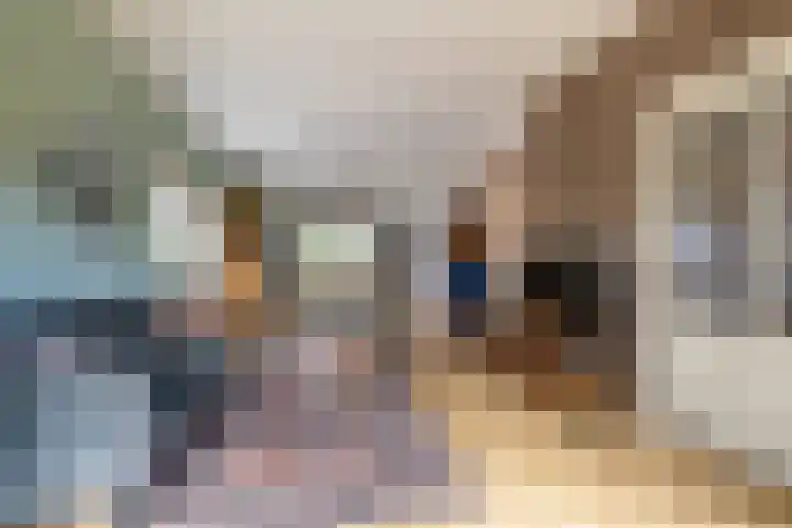 Noordersingel 7 Hoogezand thumbnail 7