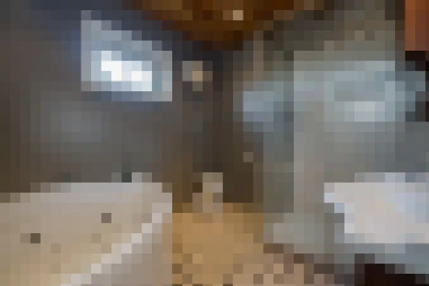 Noordersingel 76 Berkel en Rodenrijs thumbnail 13