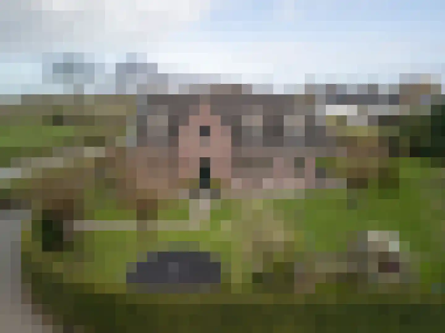 Noordersingel 76 Berkel en Rodenrijs thumbnail 30