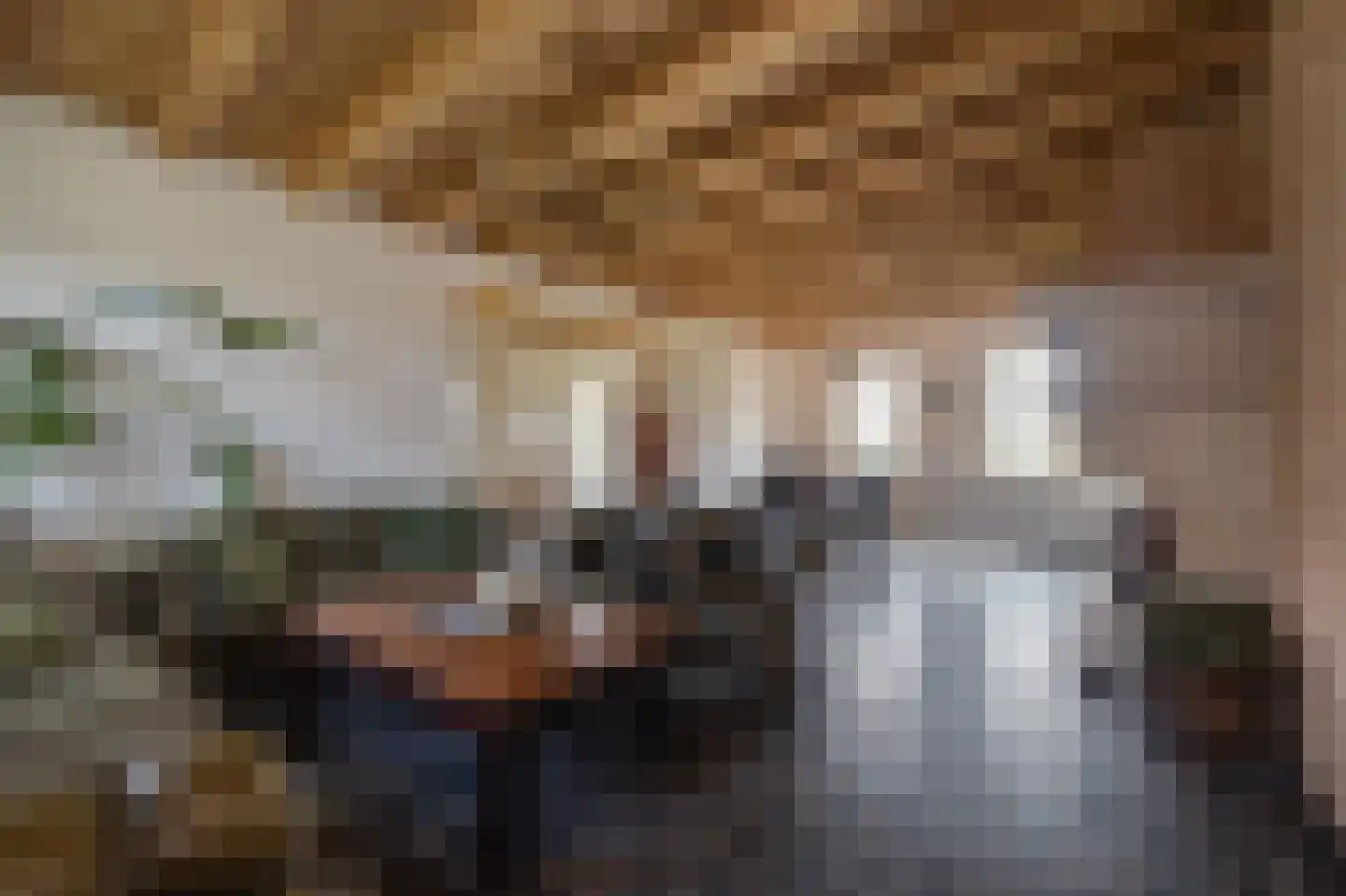Noordersingel 76 Berkel en Rodenrijs thumbnail 4