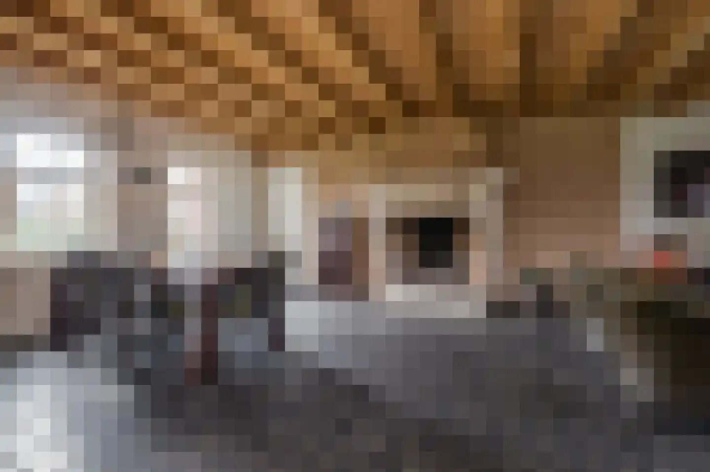 Noordersingel 76 Berkel en Rodenrijs thumbnail 6