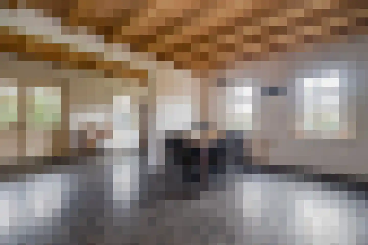 Noordersingel 76 Berkel en Rodenrijs thumbnail 7