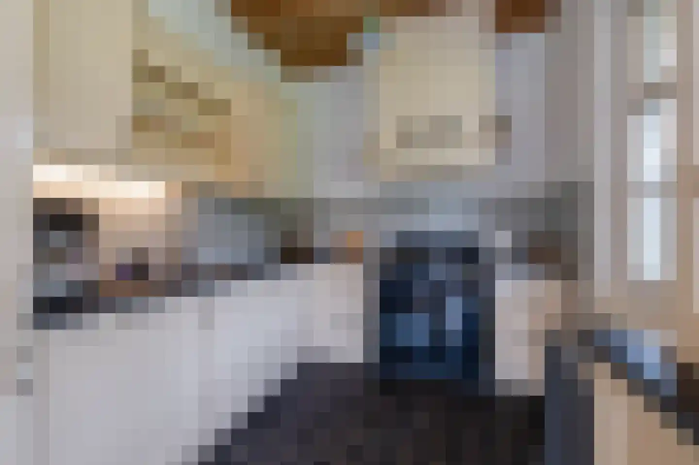 Noordersingel 76 Berkel en Rodenrijs thumbnail 8