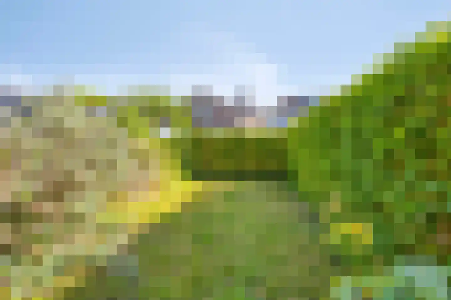 Noordersingel 8 Appingedam thumbnail 38