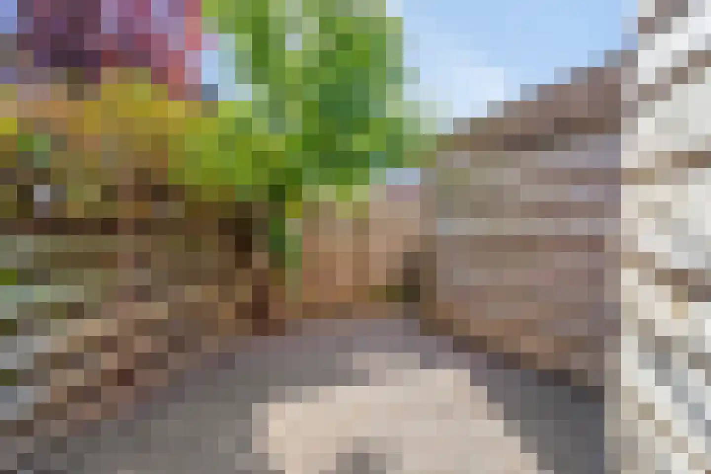 Noordersingel 8 Appingedam thumbnail 41