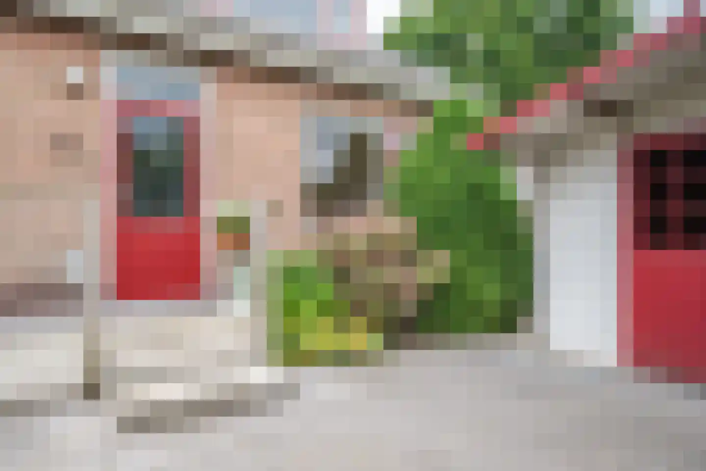 Noordersingel 92 Berkel en Rodenrijs thumbnail 24