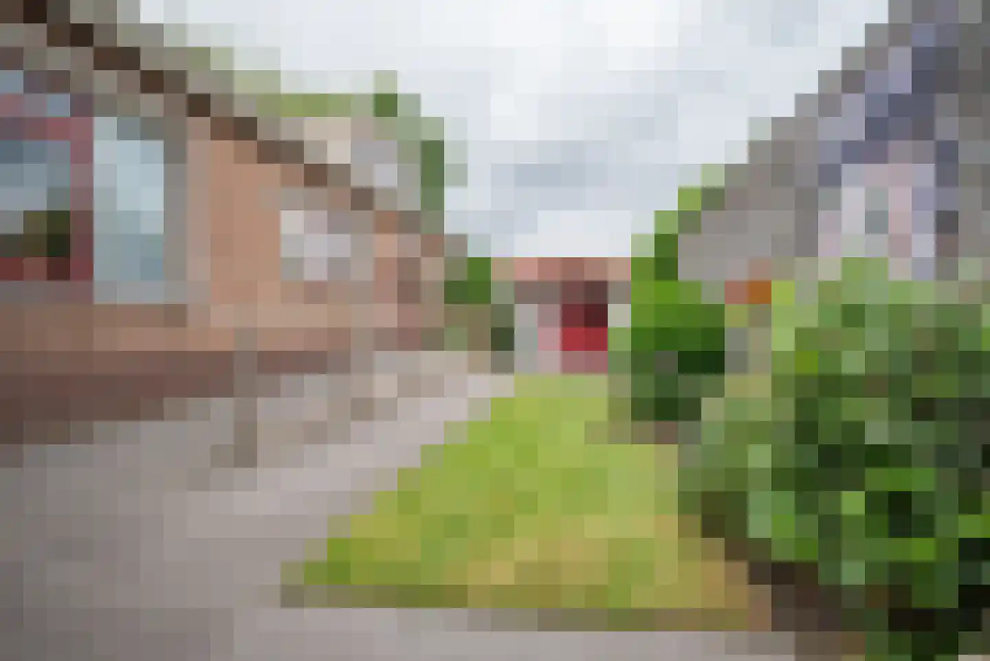 Noordersingel 92 Berkel en Rodenrijs thumbnail 4
