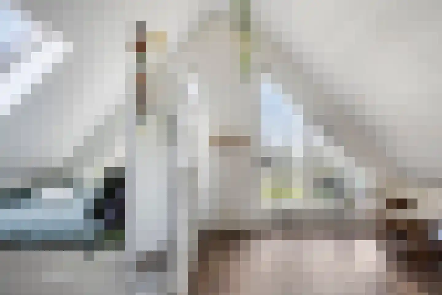 Noordersingel 94 c Berkel en Rodenrijs thumbnail 26