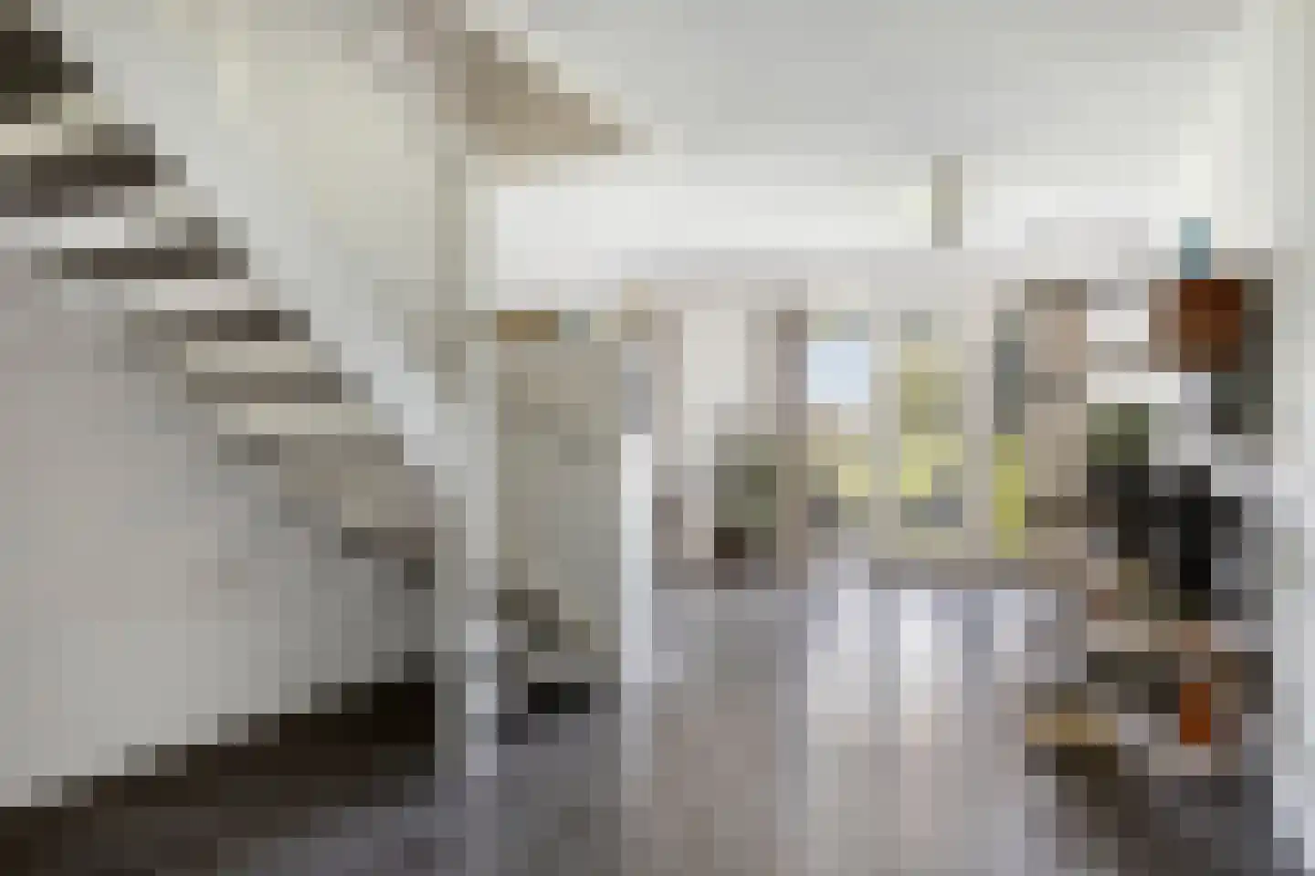 Noordersingel 94 c Berkel en Rodenrijs thumbnail 8
